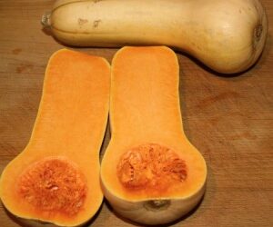 Macaroni and… Squash?