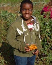 Peterson Produce Field Trip