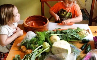 Minnesota + Our Bountiful Harvest = Minnesota Salad