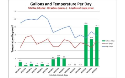 Maple Syrup and Climate Change: Not so sweet?