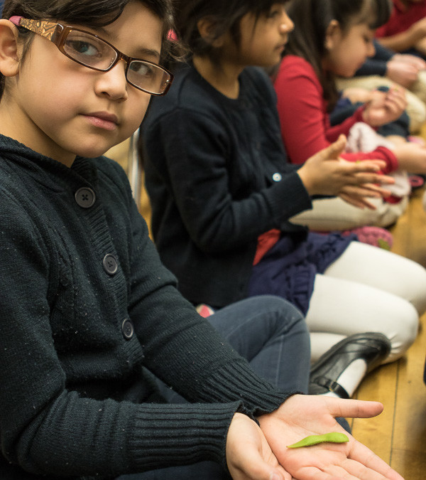 20 Years of Inspiring Children to Eat well