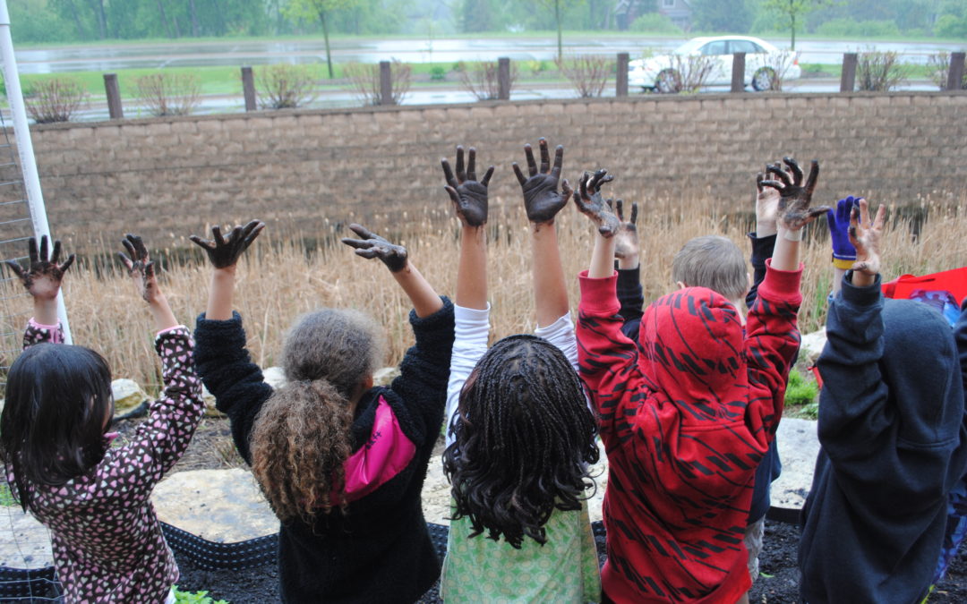 Fall Farm Field Trips