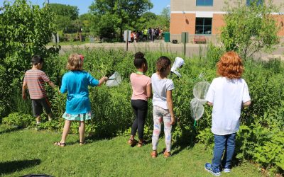 2016-17 School Year in Review