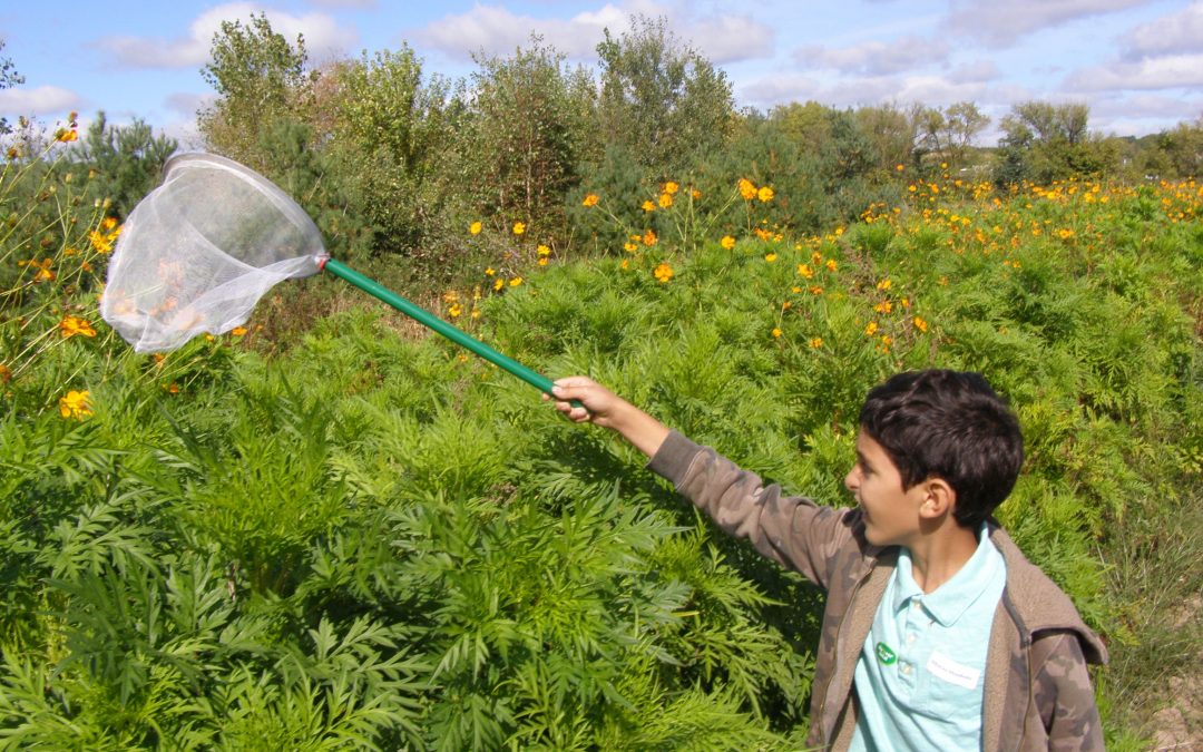 2017-2018 by the Numbers and Photos