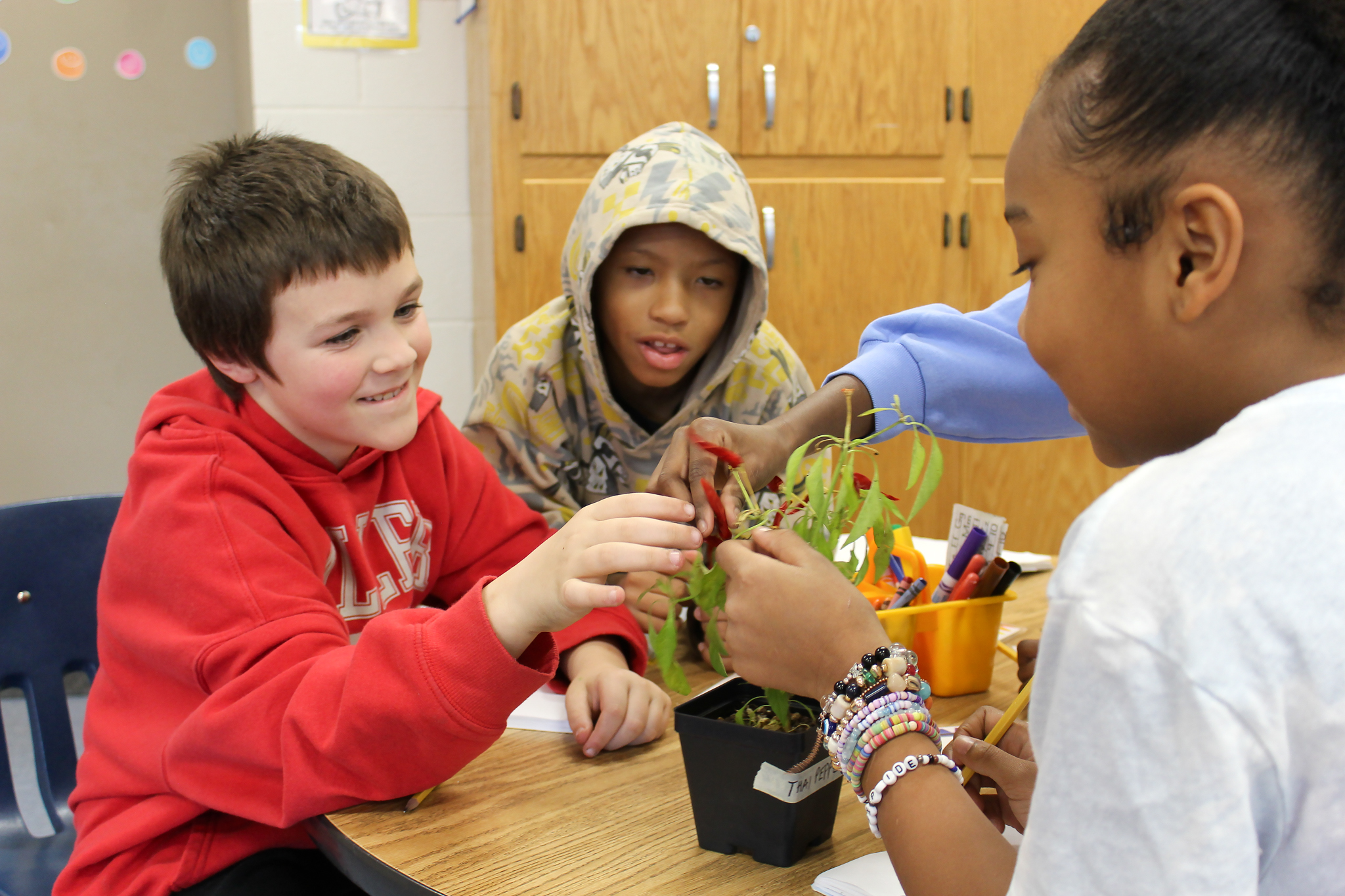 Students with pumpkins and squash.