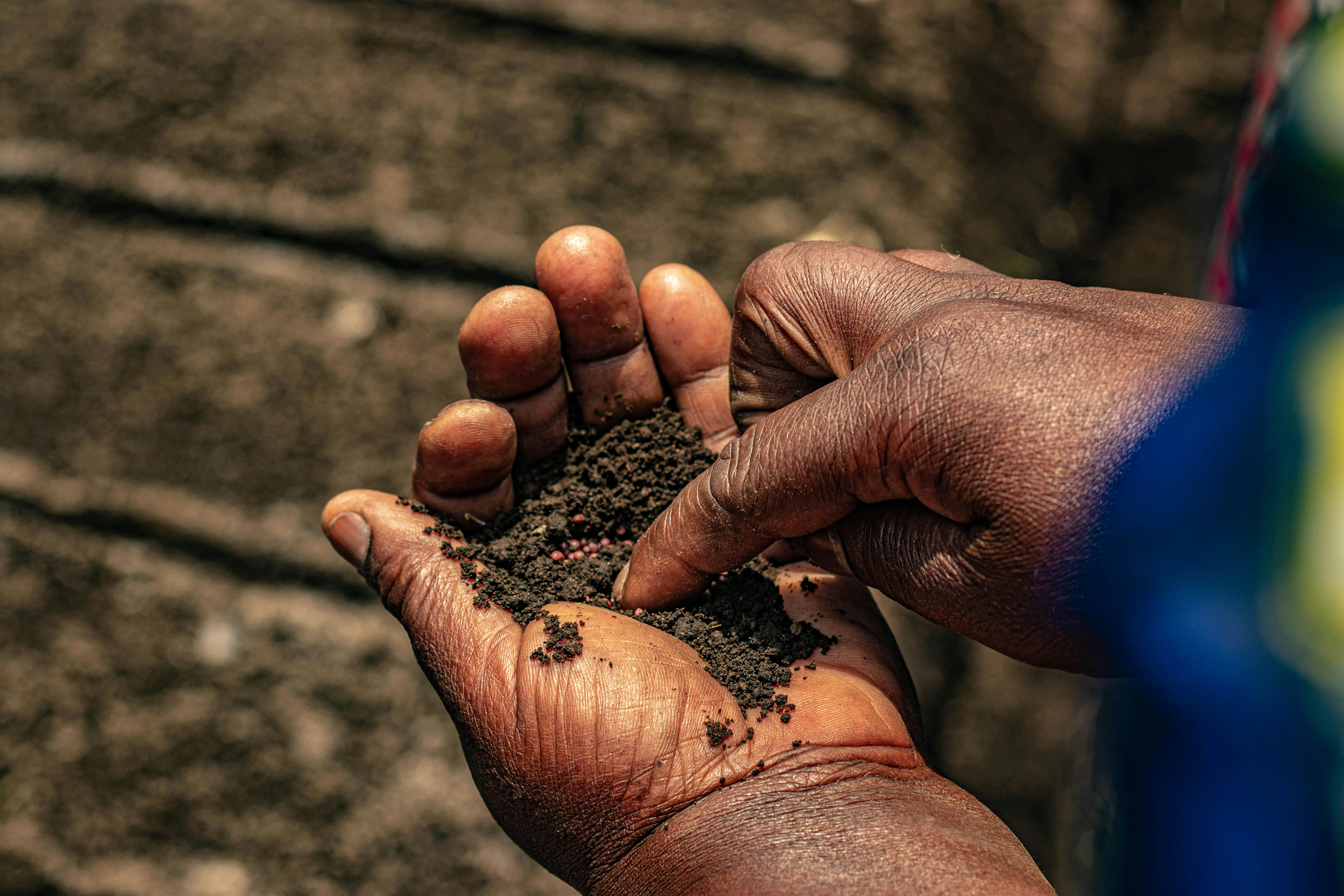 Seeds are Life: African American Food History in Minnesota